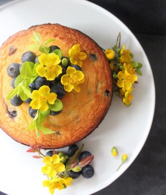 Blueberry & Lemon Coconut Cake