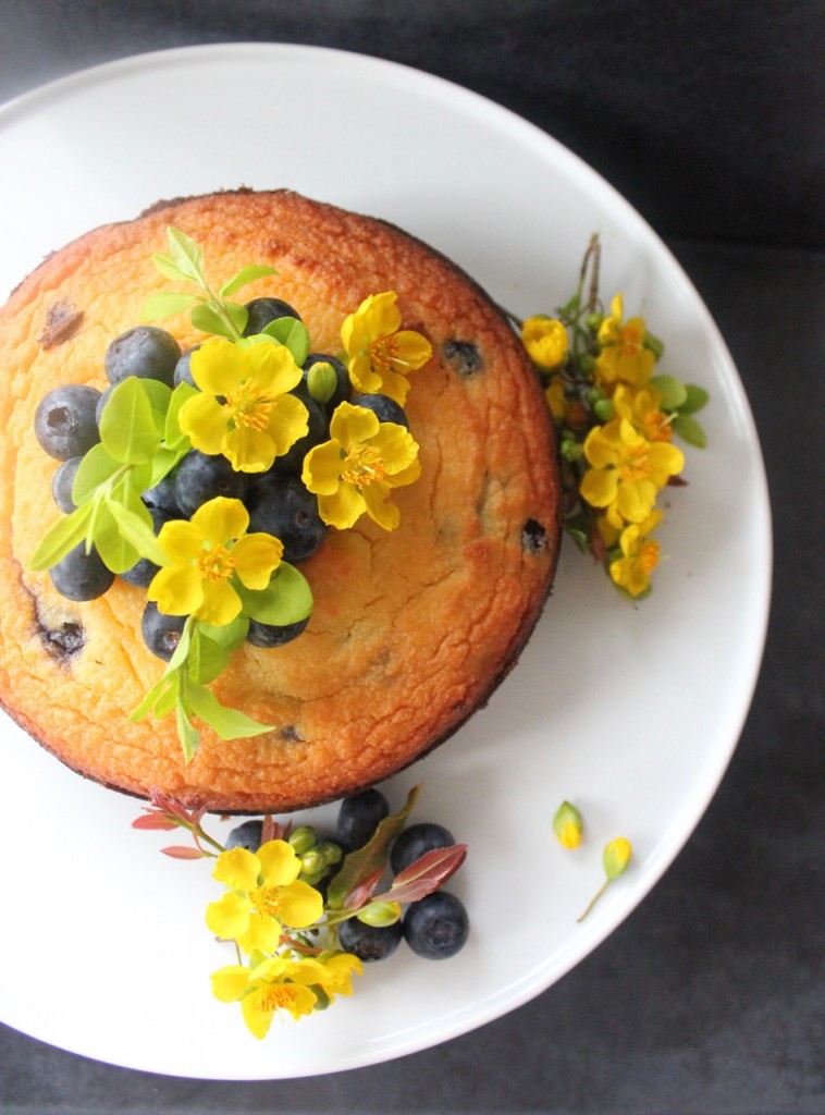 Blueberry & Lemon Coconut Cake