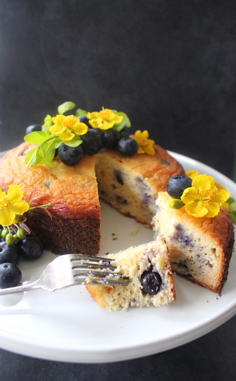 Blueberry & Lemon Coconut cake