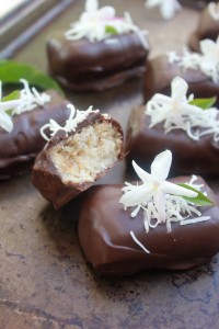 Gluten-Free Chocolate Bounty Bars