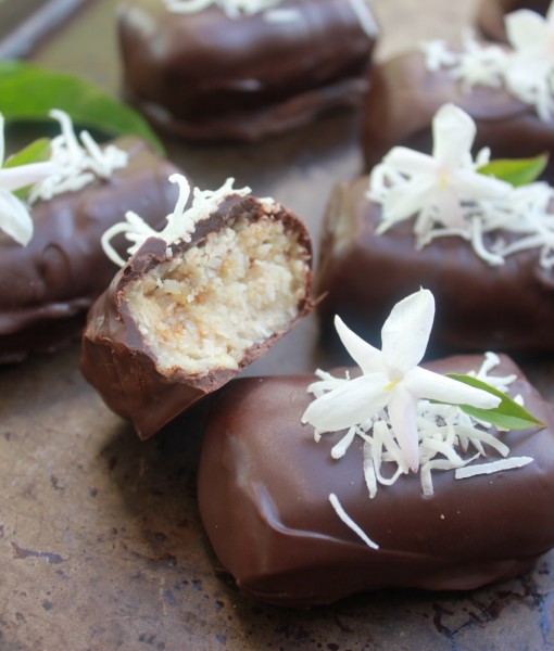 Gluten-Free Chocolate Bounty Bars