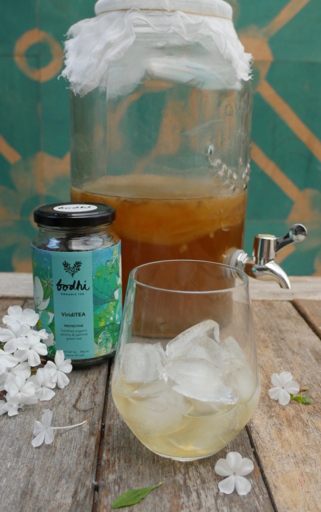 Homemade Bodhi Organic Kombucha