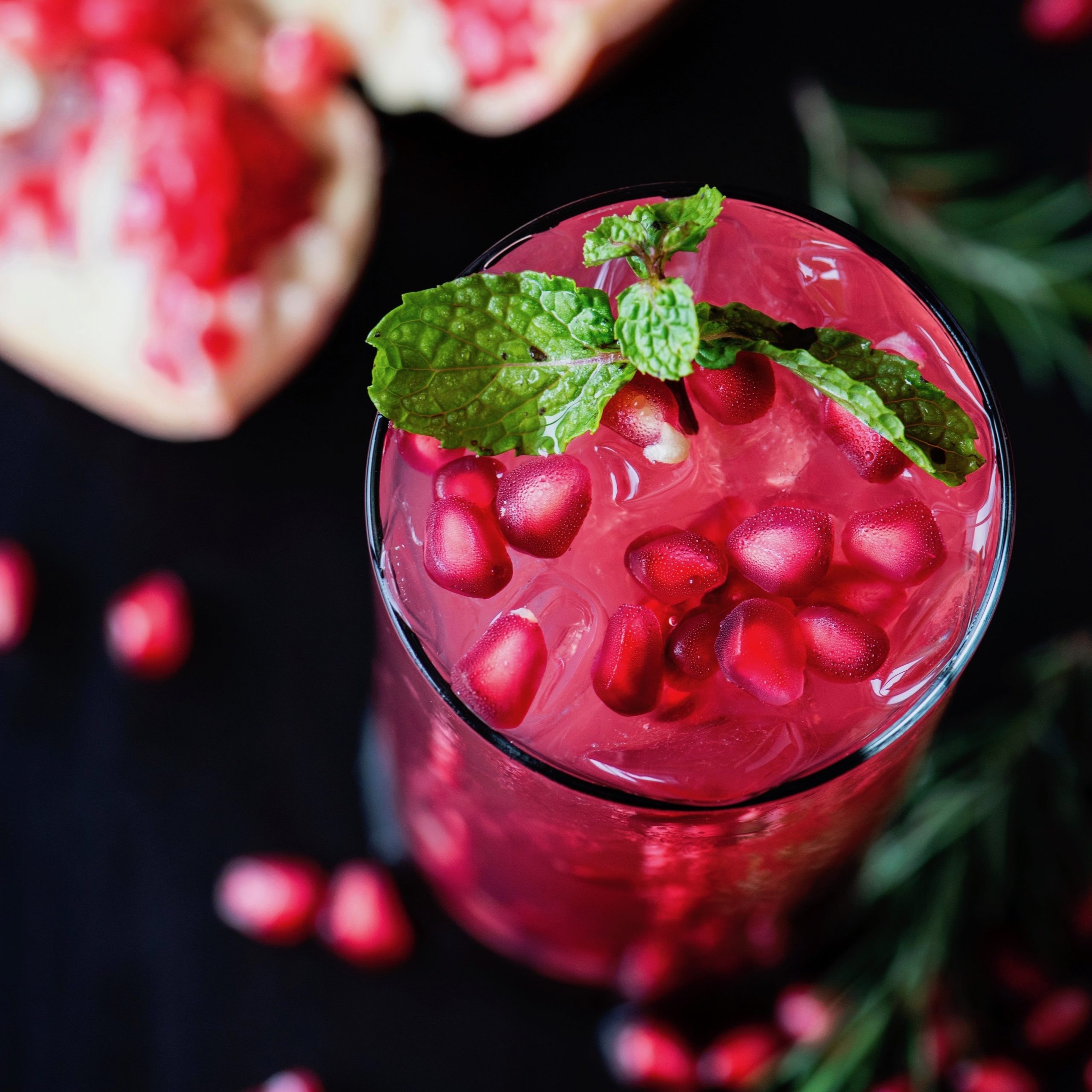 Antioxidants for Longevity & Optimal Health Bodhi Organic Tea